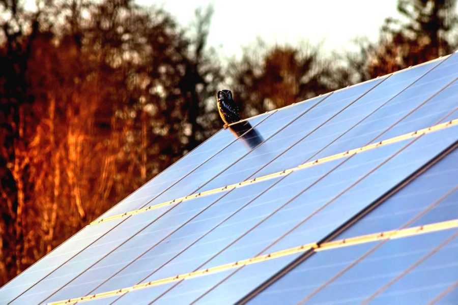 La normativa sobre instalación de placas solares -y otras renovables- en comunidades de vecinos